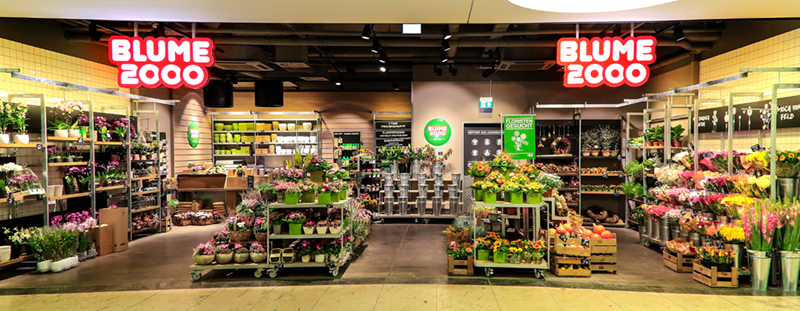Blume 2000 Gallery